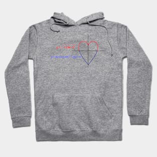 the formula of love Hoodie